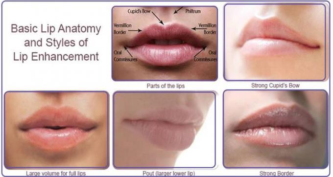 Halten Sie Feuchtigkeits-injizierbare Lippenfüller-Berufslippenerweiterung ohne Chirurgie